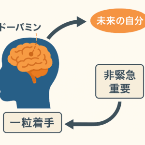 「人間の脳の断面図が描かれており、側坐核、前頭前野、扁桃体、海馬などがラベル付きで表示されている。通知やSNSなど外的刺激により側坐核が活性化し、ドーパミンが分泌される過程を矢印で示している。報酬系から前頭前野への影響も含めて、注意・行動・やる気が高まる仕組みが視覚的に表現されている。」