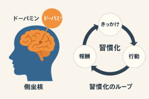 「人間の脳の断面図が描かれており、側坐核、前頭前野、扁桃体、海馬などがラベル付きで表示されている。通知やSNSなど外的刺激により側坐核が活性化し、ドーパミンが分泌される過程を矢印で示している。報酬系から前頭前野への影響も含めて、注意・行動・やる気が高まる仕組みが視覚的に表現されている。」